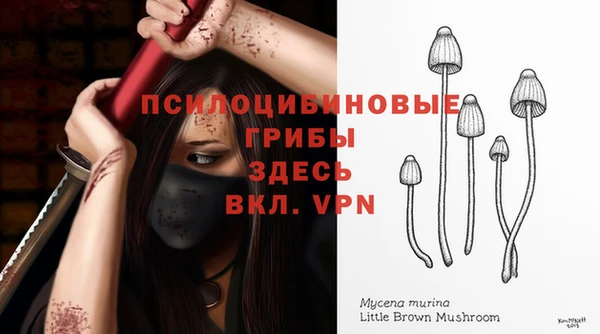 spice Михайловка