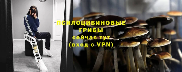 spice Михайловка