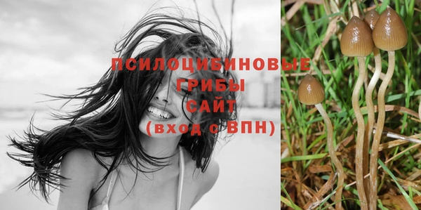 скорость mdpv Михайлов