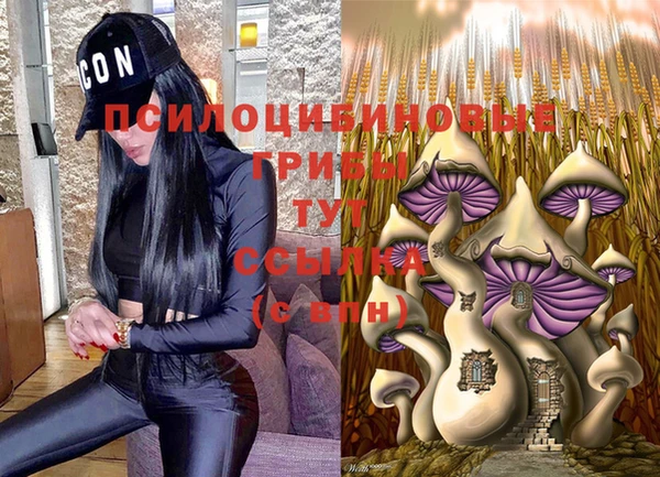 spice Михайловка