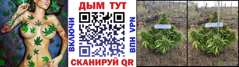 Канабис Ganja  Купить закладки  Тетюши 